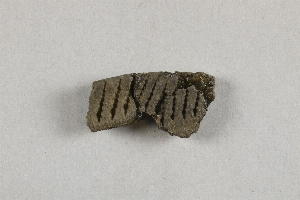 58-2-24