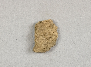 58-2-28P