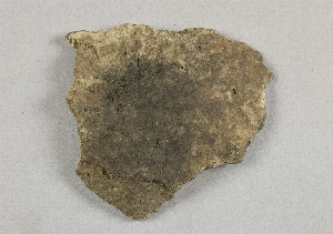 58-2-29D