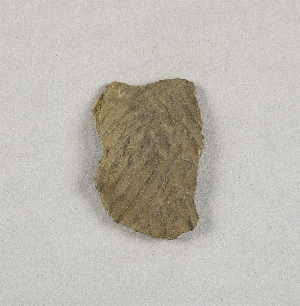 58-2-34