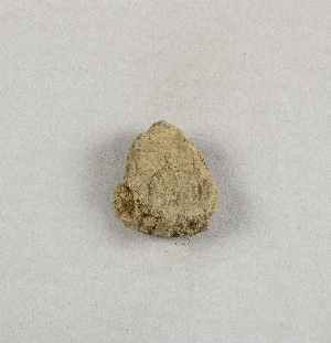 58-2-48X