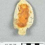 890167