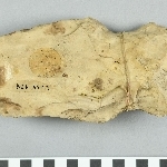 890459