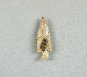 87-39-50