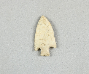 97-564-3.1