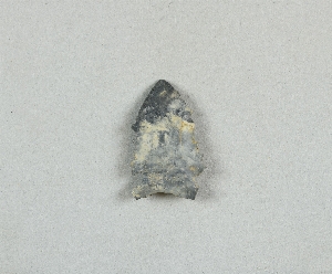 97-564-3.13
