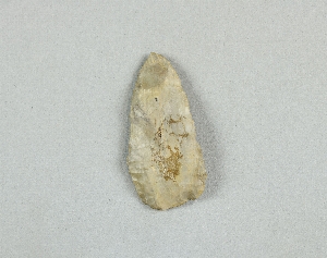 97-564-8.2