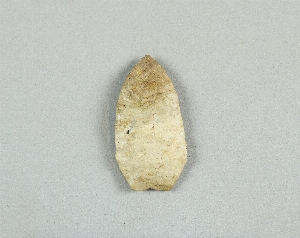 97-564-8.3