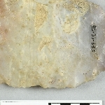 890764