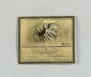 97-563-4602