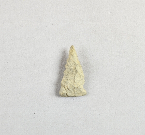 29-118-20