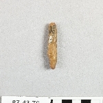891519