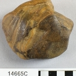 891646