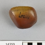 891881