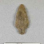 892031
