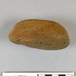 892172