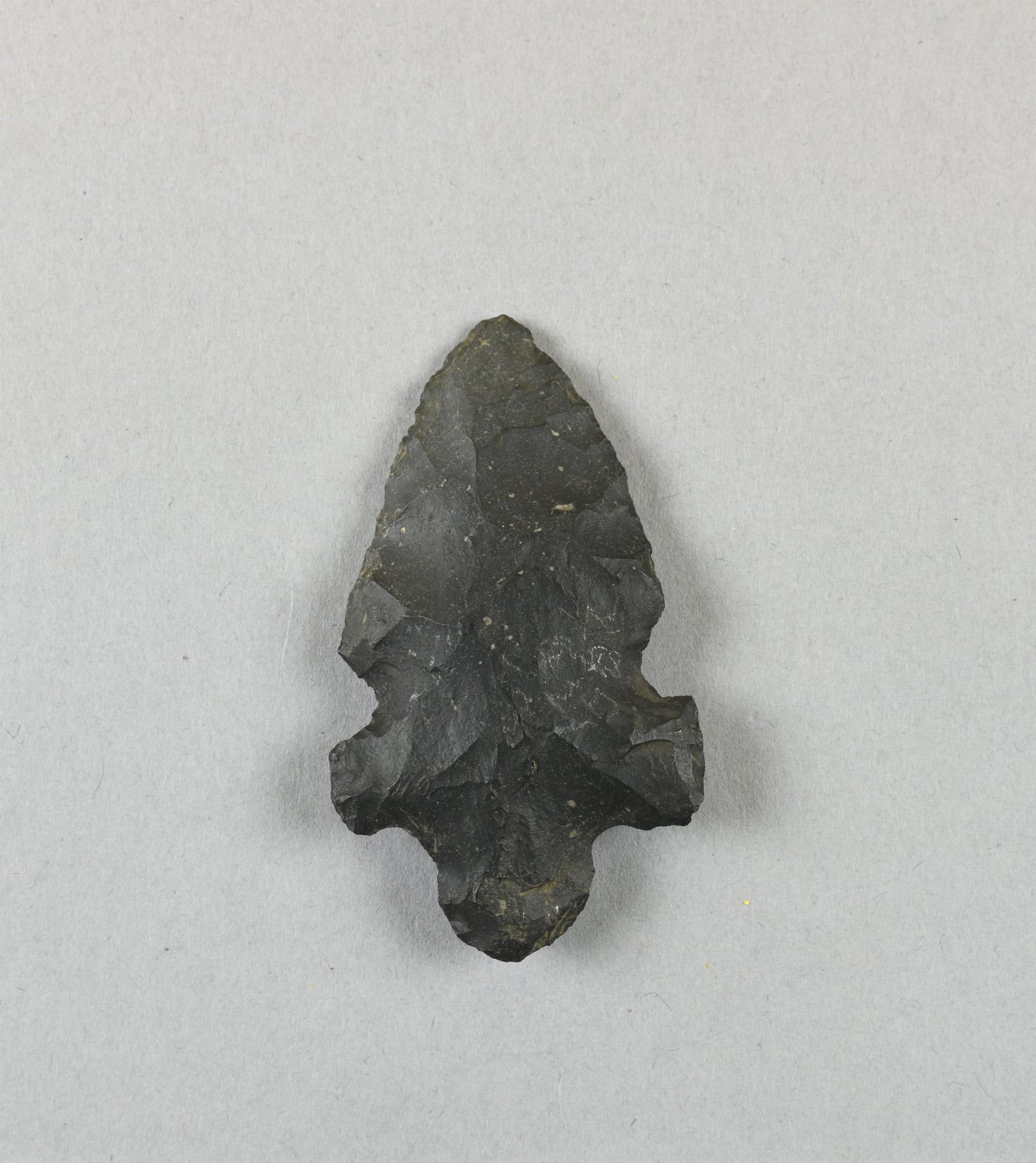 892427