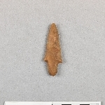 892591