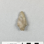 892636
