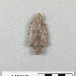 892638