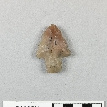 892641