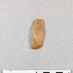 892750