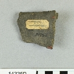 892955