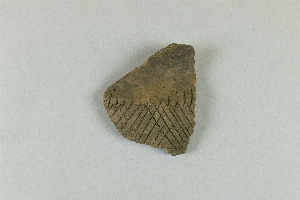 14225A