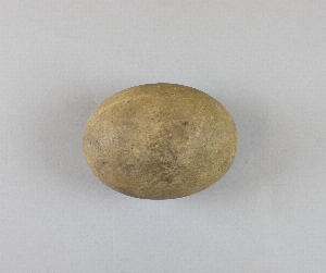 14504