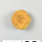 893628
