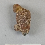 893902