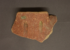 MS93