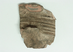 MS5686.53