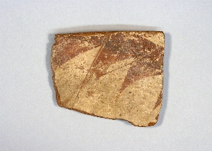 MS5686.50