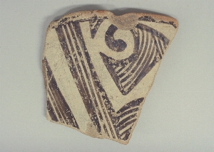 MS5294.3
