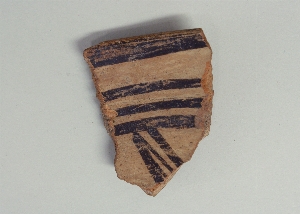 MS5686.11