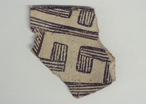MS5292