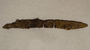 MS1646