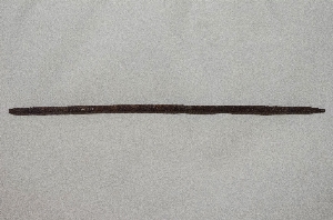 MS2593