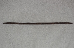 MS2594