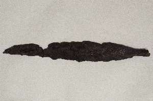 MS2597