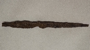 MS2598