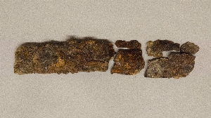 MS2631