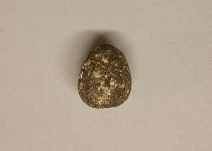 MS24