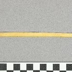 897019
