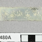 897101