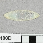 897107