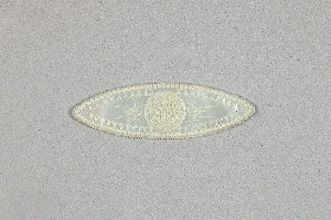 15480D