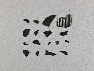 CG2016-1-14