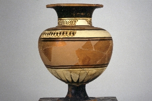 MS4856